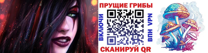 Галлюциногенные грибы мицелий  KRAKEN зеркало  Горняк  где продают  