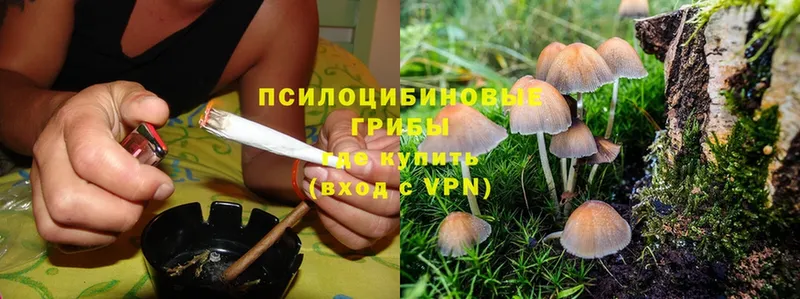 Галлюциногенные грибы Psilocybine cubensis  даркнет сайт  Горняк 